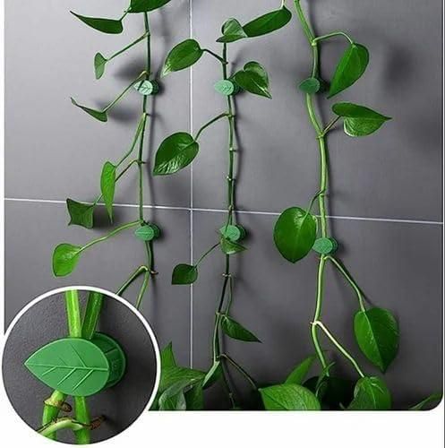 30 Pc Climbing Plant Fixture Clip Wall Self Adhesive Tied Vine Buckle Cable Hook